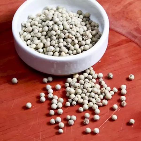 PIMENTA BRANCA EM GRÃO 100g